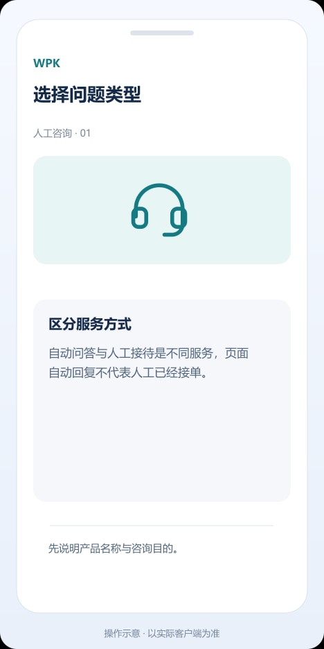 WPK 选择问题类型操作示意
